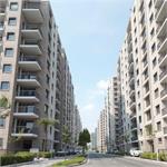 ✨ راه‌اندازی سایت شرکت تعاونی مسکن کارکنان بانک کشاورزی استان اصفهان ✨